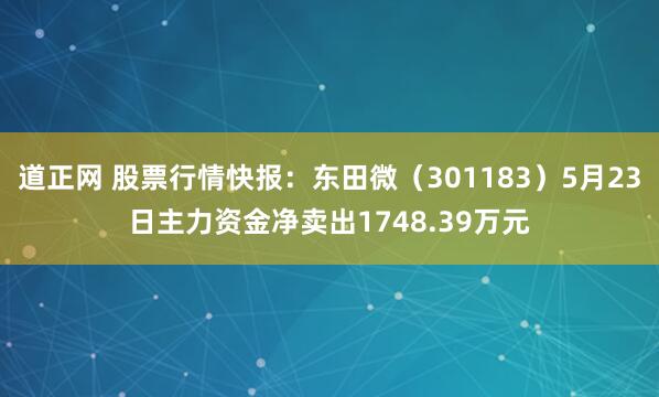 道正网 股票行情快报：东田微（301183）5月23日主力资金净卖出1748.39万元