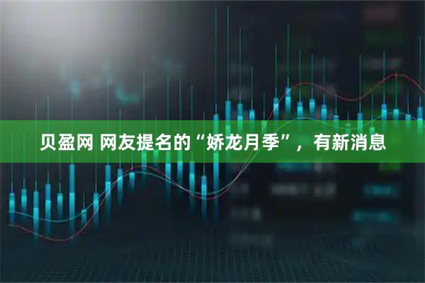 贝盈网 网友提名的“娇龙月季”，有新消息