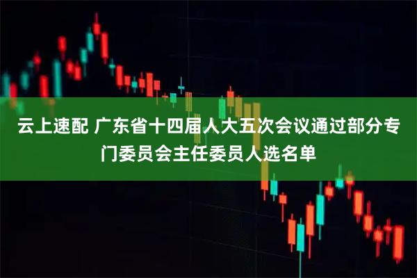 云上速配 广东省十四届人大五次会议通过部分专门委员会主任委员人选名单