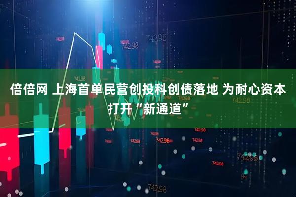 倍倍网 上海首单民营创投科创债落地 为耐心资本打开“新通道”