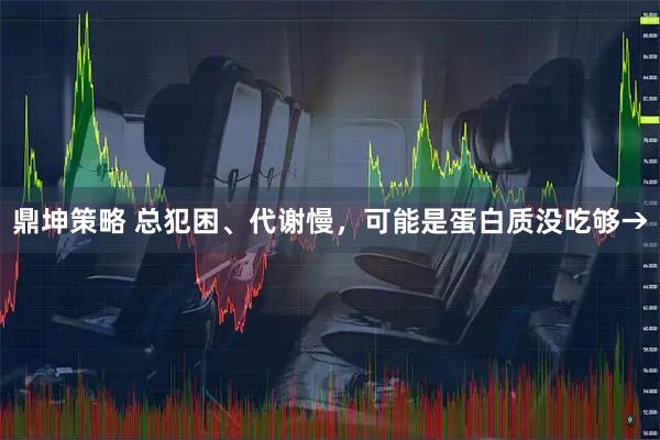 鼎坤策略 总犯困、代谢慢，可能是蛋白质没吃够→